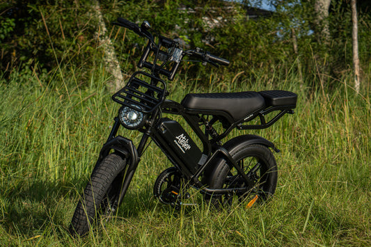 Atelier Urban Pro β Fat Tyre Electric Bike (750W, 48V, Dual Suspension)