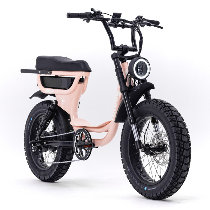 FATBOY Harlem - Byron Bike House