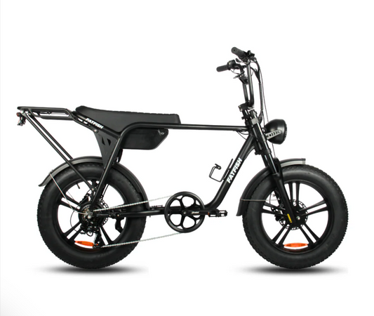 Fatfish Biggie Fat Tyre E-Bike