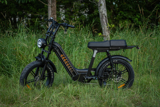 Atelier Cruiser Pro 2026