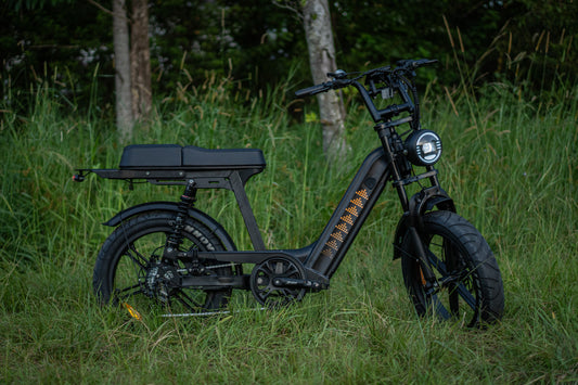 Atelier Cruiser Pro 2026